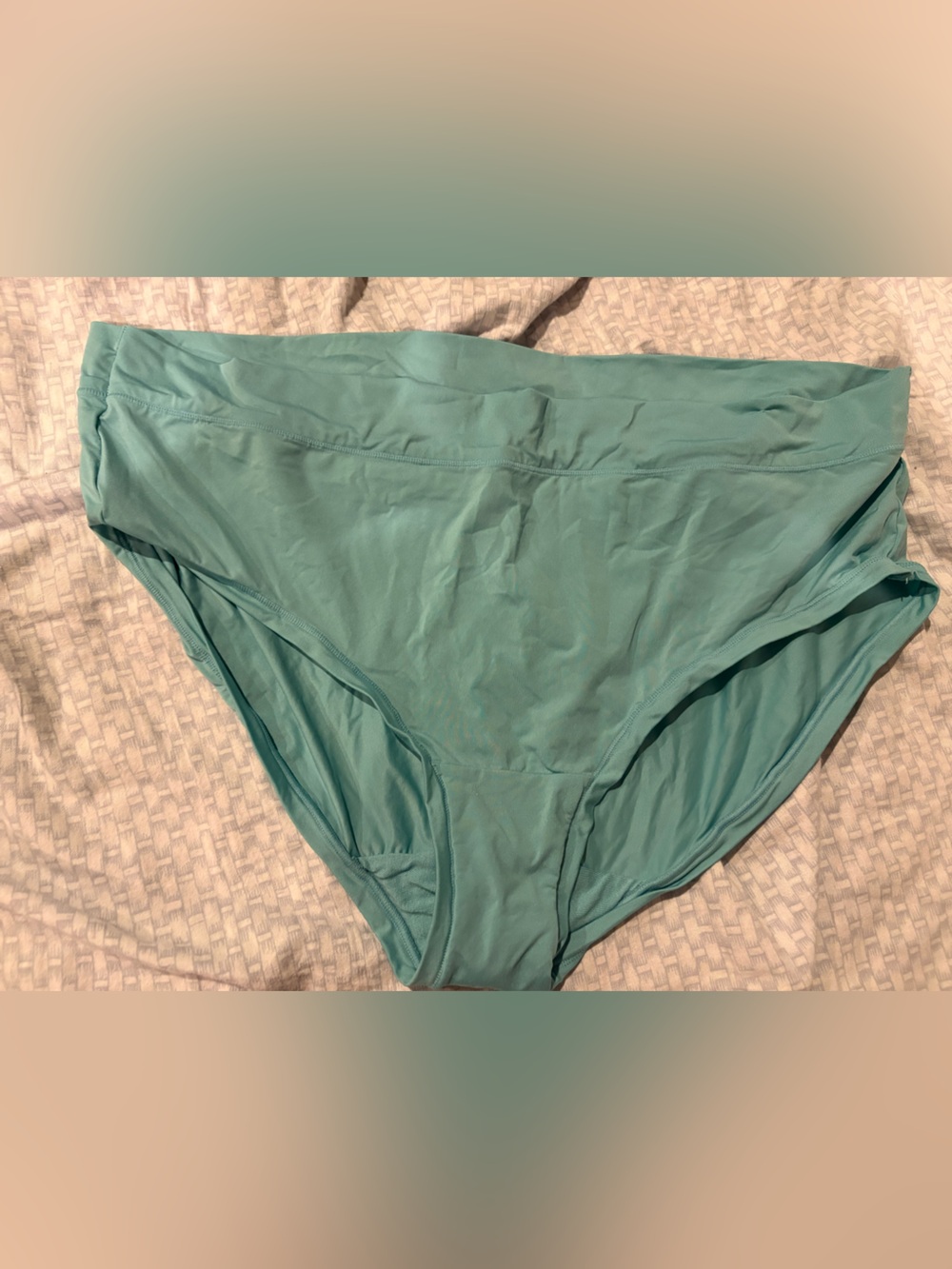 Cacique Smooth Hipster Briefs in Aqua Teal